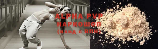 индика Белоозёрский