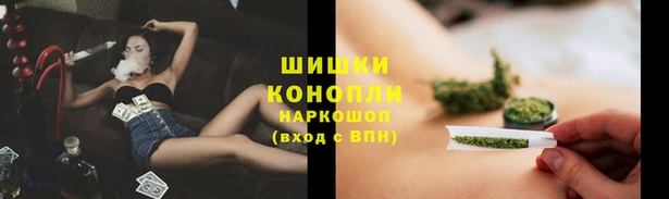 spice Беломорск
