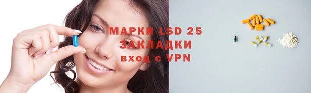 индика Белоозёрский