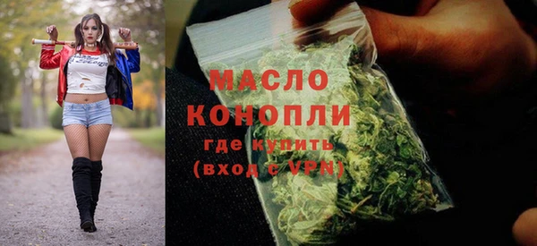 индика Белоозёрский