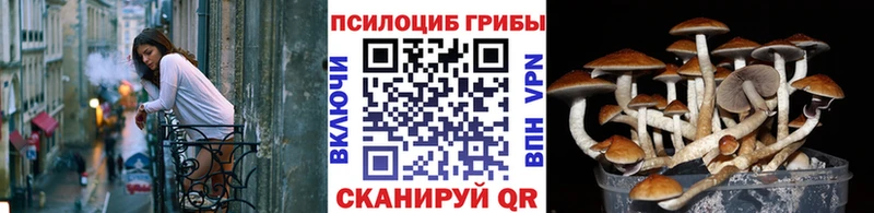 Галлюциногенные грибы MAGIC MUSHROOMS  где можно купить наркотик  Томмот 